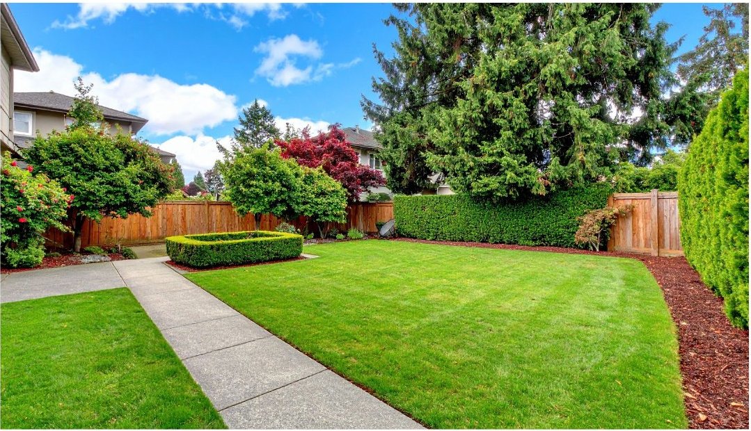 Sanitized and deodorized yard ready for family use